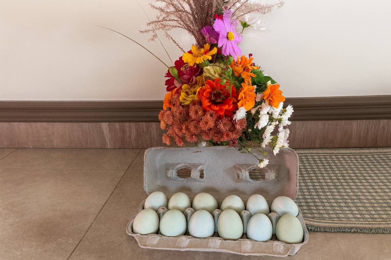 Blue-green Eggs