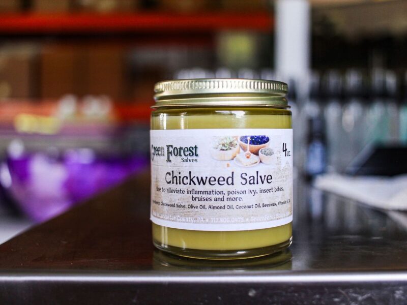 Chickweed Salve: 4oz