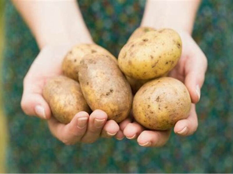 White Potatoes: 2 pounds